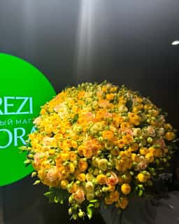 Frezi Flora