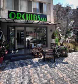 Orchidsale