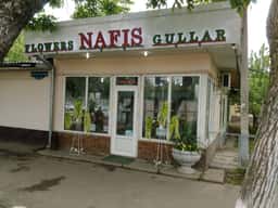 Nafis Gullar