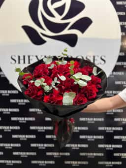 Sheykh Roses
