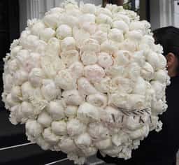 Vetka Flowers & Decor