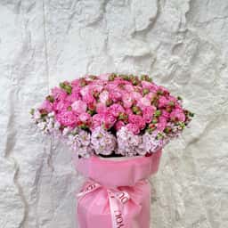 Beverle Rose