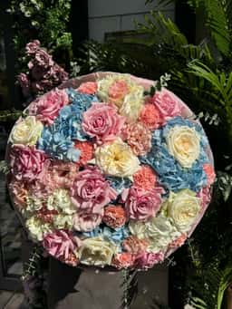 The Rose