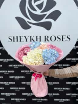 Sheykh Roses
