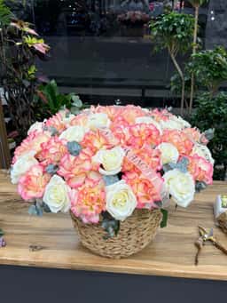 Beverle Rose