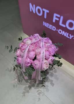 Why Not Flowers