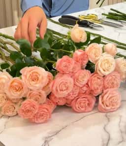 Nasrin Flowers