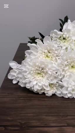 Asparagus Flowers