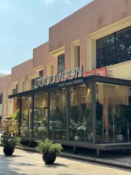 Goodveen