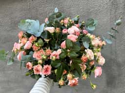 Shanti Flower