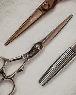 Stal Salon